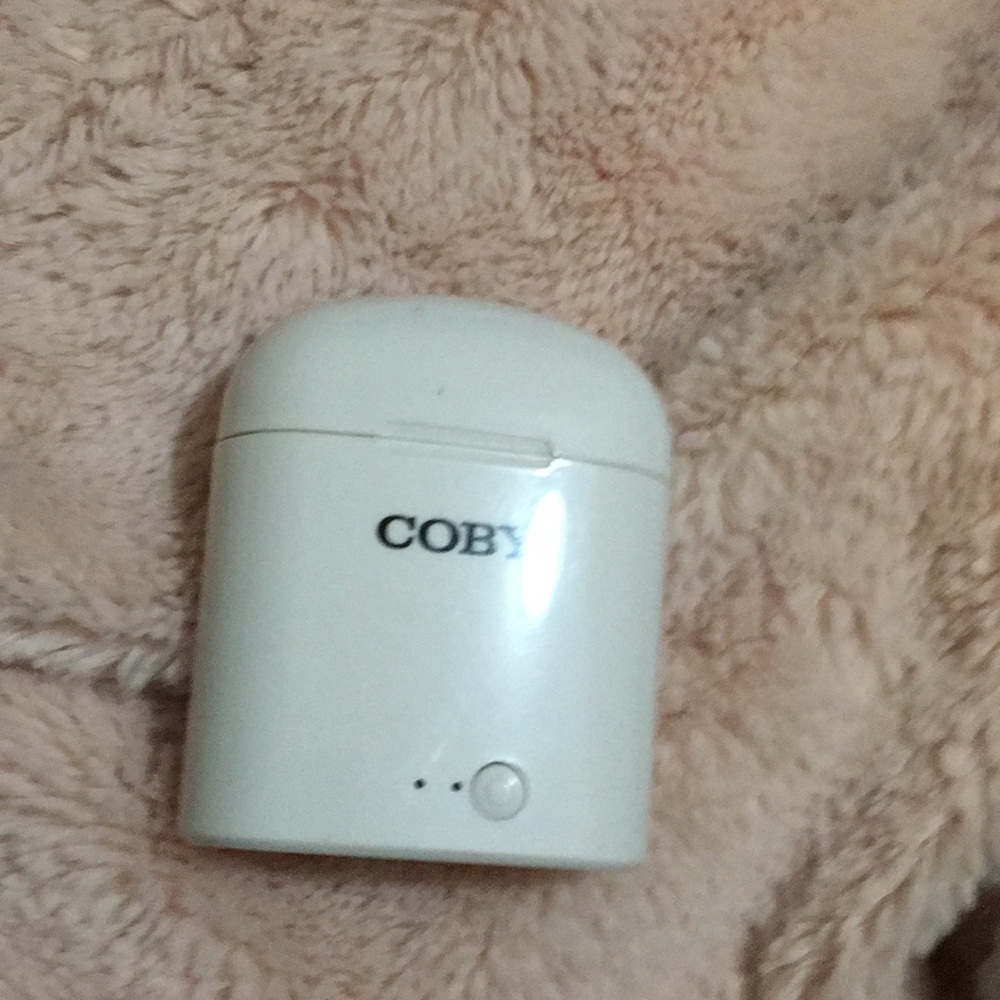 Wireless earbuds